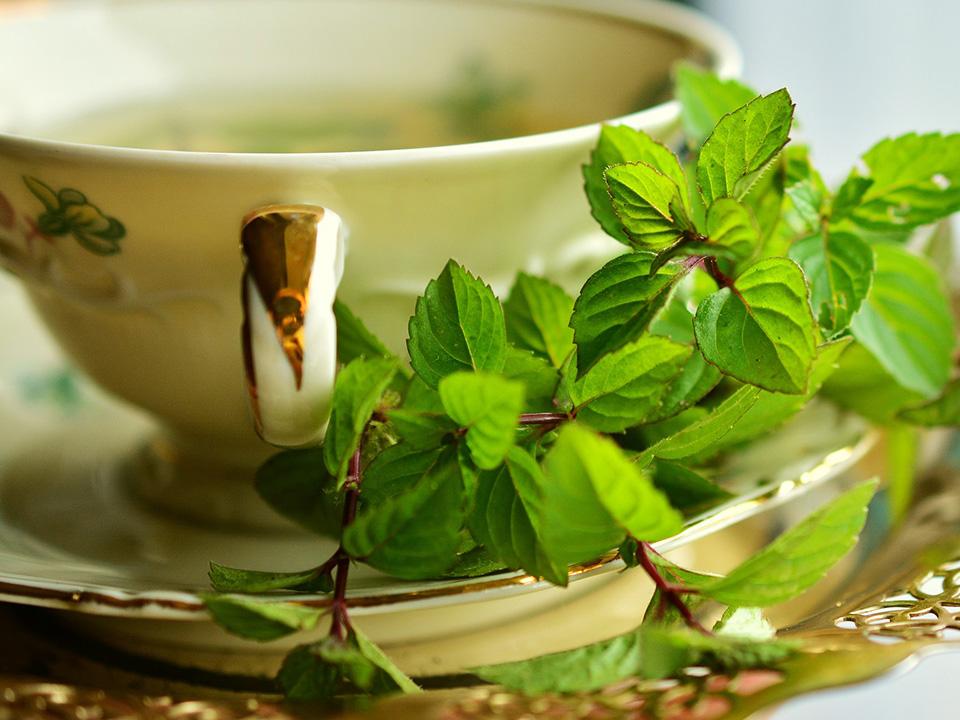 A mint tea with mint leaves 