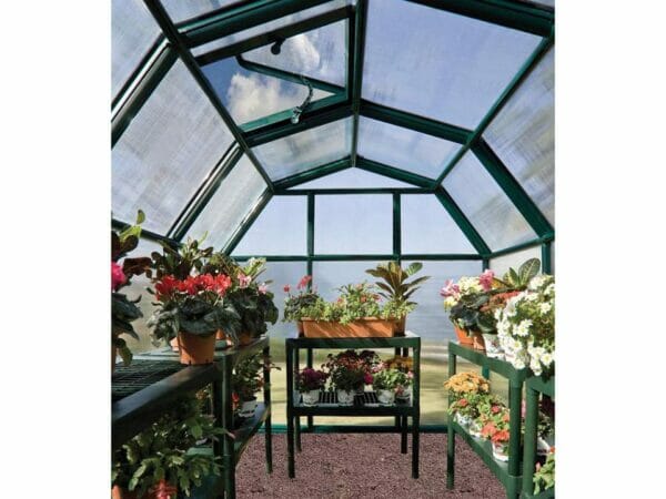 Rion 6ft x 10ft EcoGrow 2 Twin Wall Greenhouse - HG7010 - internal view - with plants