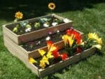 Eden Waterfall and Pyramid Raised Garden Bed Three layers with flower plants