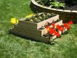 Eden Waterfall and Pyramid Raised Garden Bed Pyramid Style