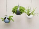 Three ELHO Euro Hanging Planters