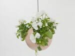 Blush ELHO Euro Hanging Planters