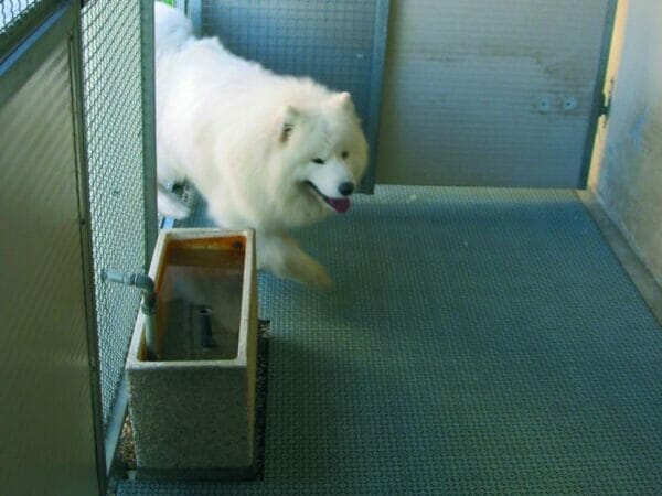 Riverstone Flooring Panels - Used in a dog pen