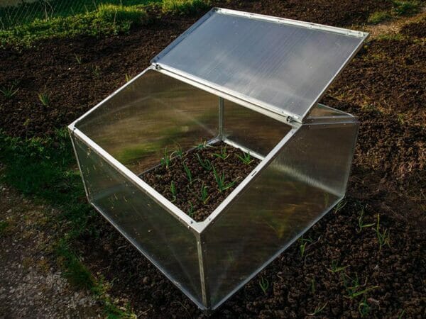 Delta Park Gable Roof Cold Frame with plants inside . Left roof panel open.