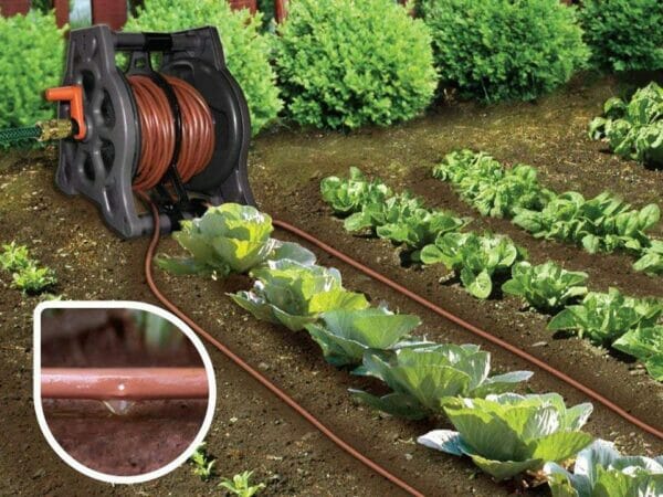 Genesis Drip Irrigation System in garden watering plants - with a close up view of the drip on the left side