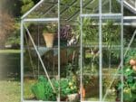 Genesis Drip Irrigation System in a greenhouse with plants inside