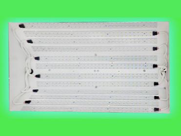 Light bulbs (bottom) of the GENESIS LED Powered Grow Light System - white background