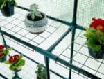 Mesh shelves inside the Genesis Portable Walk In Greenhouse