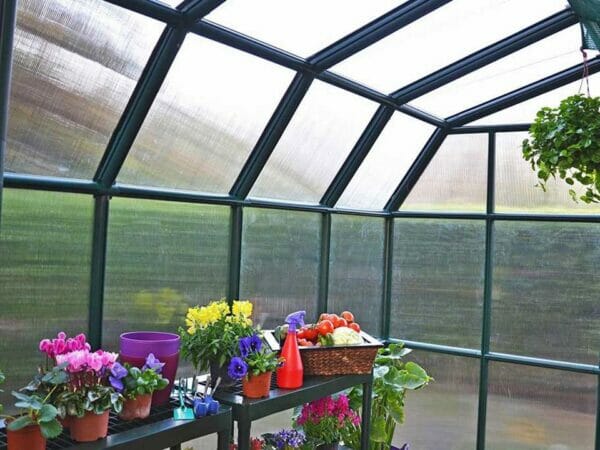 Rion Grand Gardener 2 Twin-Wall 8ft x 12ft Greenhouse HG7212 - interior view with plants