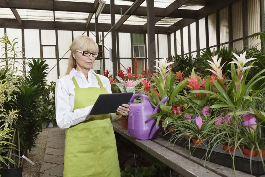 Greenhouse Shelving Ideas to Optimize Space