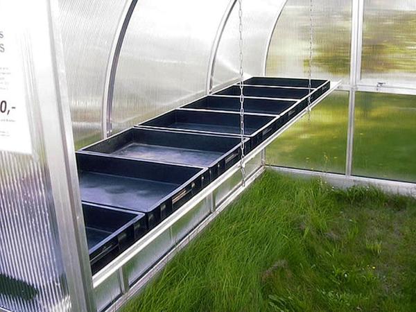 Seed trays on top of a shelf in a greenhouse