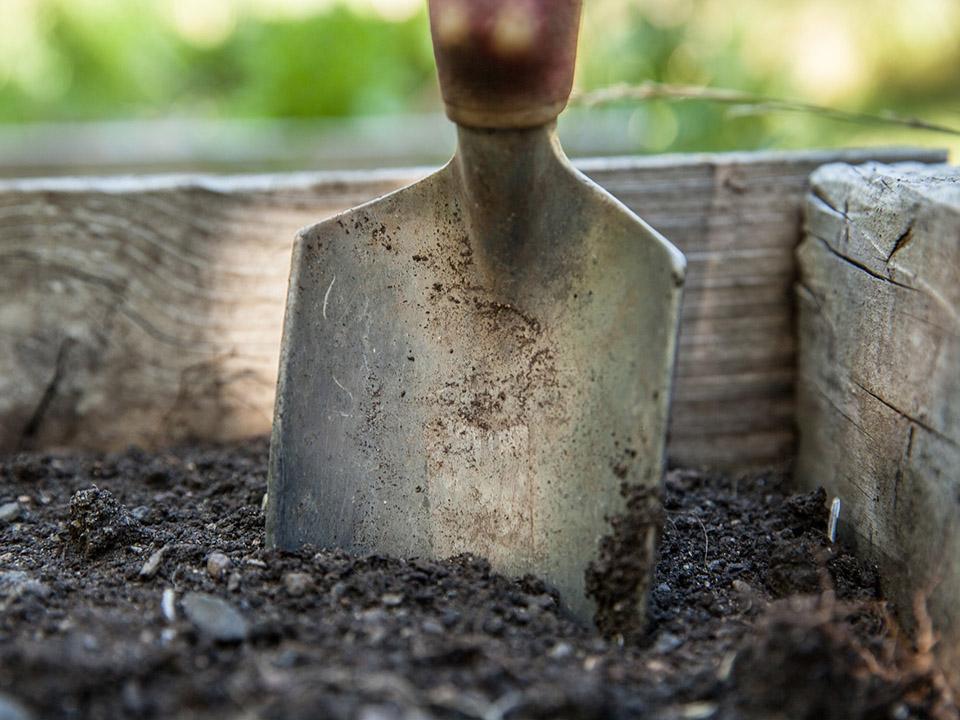 Rich, loamy, and moist soil 