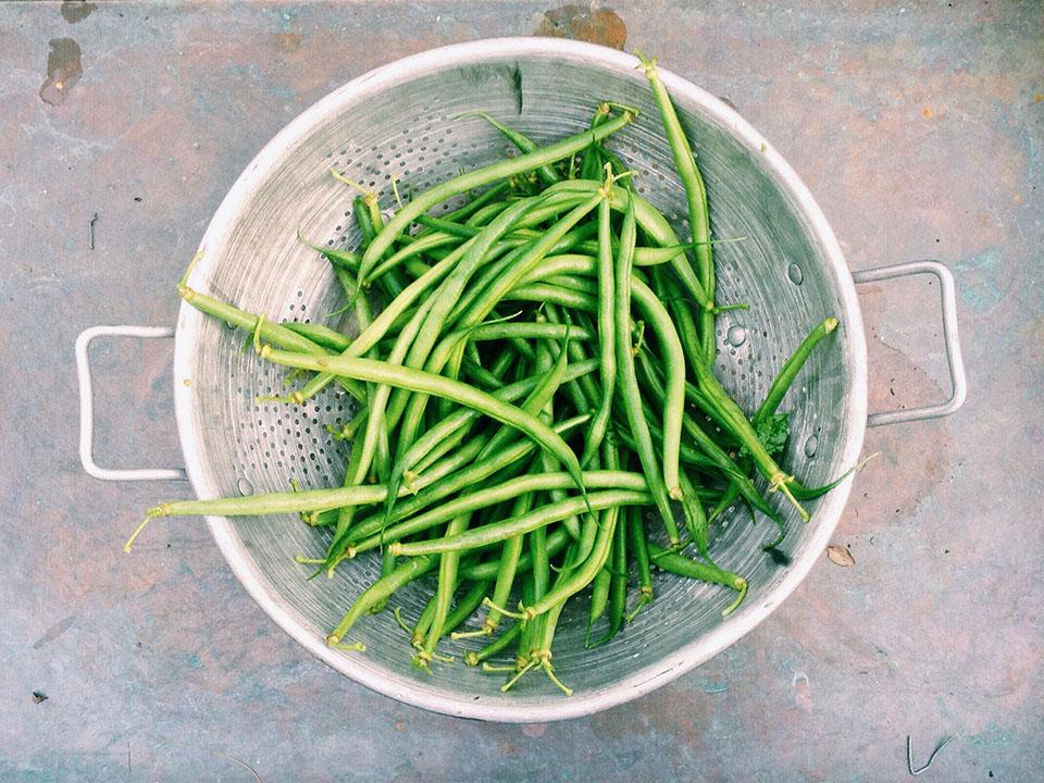 String beans in a strainer