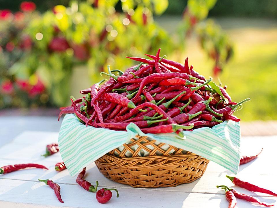 Cayenne peppers in a basket