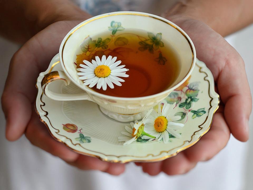 Chamomile tea served with chamomile flower as garnish
