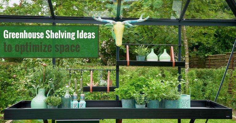 Greenhouse Shelving Ideas To Optimize Space Greenhouse Emporium