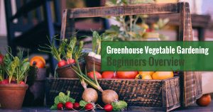 Greenhouse Vegetable Gardening - Beginners Overview
