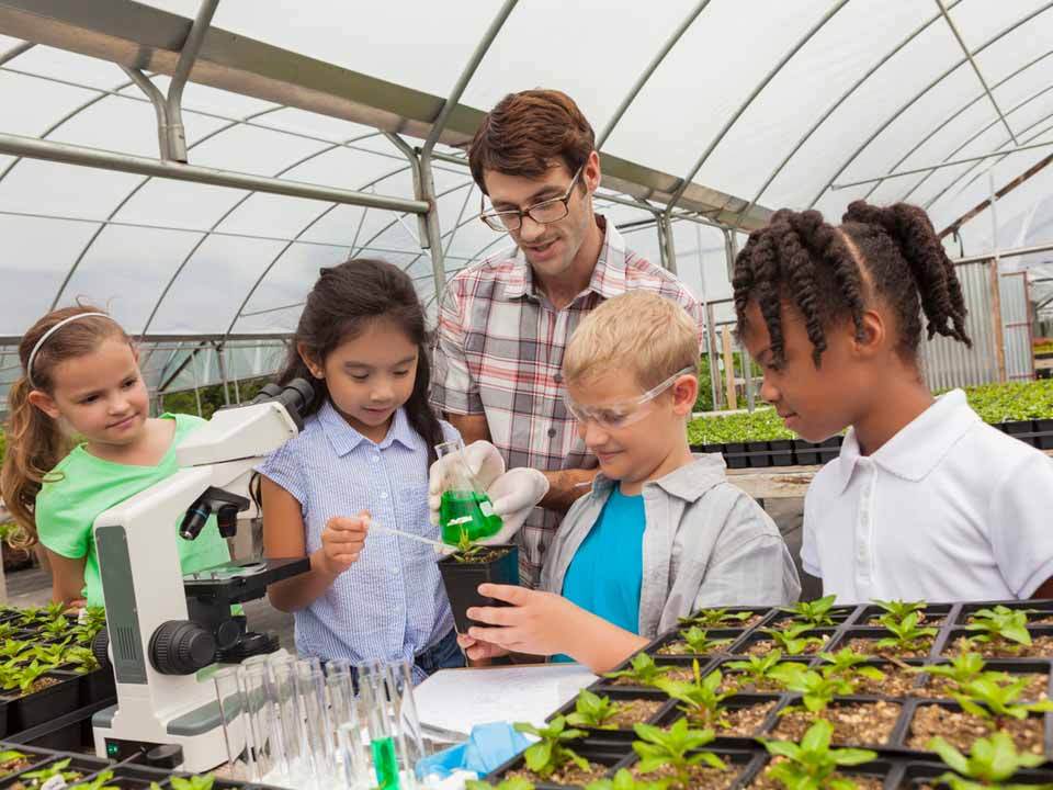 A teacher and four students studying inside a greenhouse