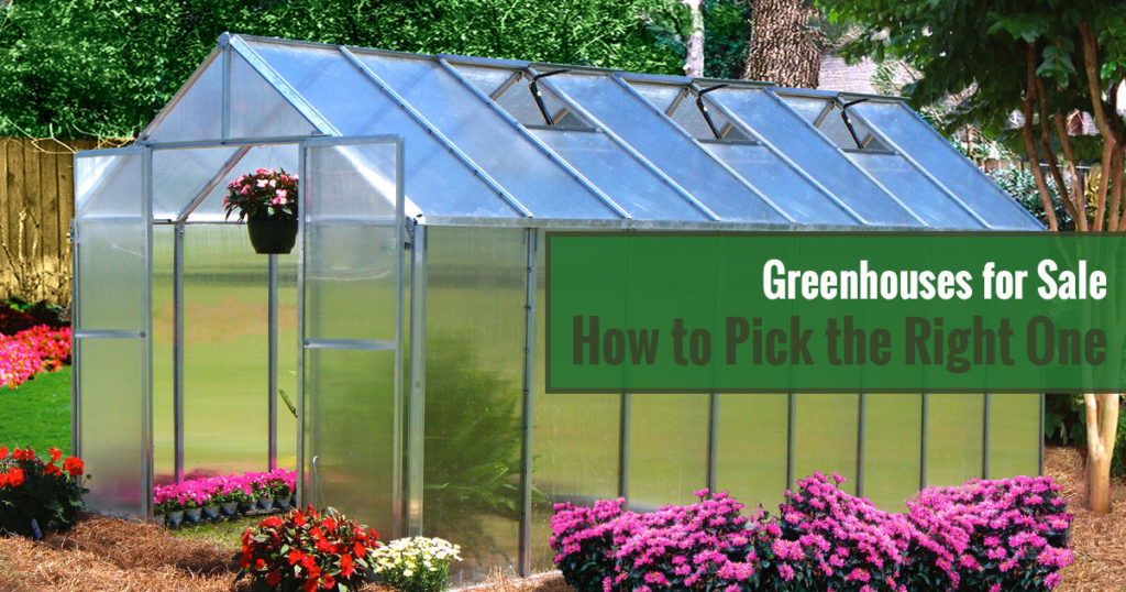 Greenhouses for Sale How to Pick the Right One