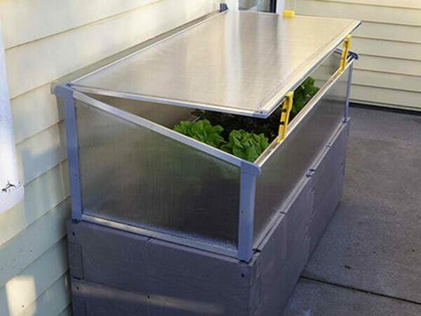 Grey Timber Raised Bed with Year Round Cold Frame by the House Propped Open