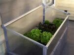 Grey Timber Raised Bed with Year Round Cold Frame by the House Fully Open Inner Top View