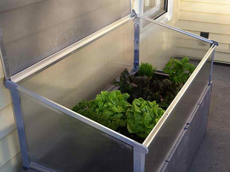Juwel YearRound Cold Frame 4x2 Greenhouse Emporium