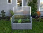 Grey Timber Raised Bed with Opened Year Round Cold Frame with plants inside