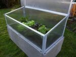 Grey Timber Raised Bed with Year Round Cold Frame Top Panel Open