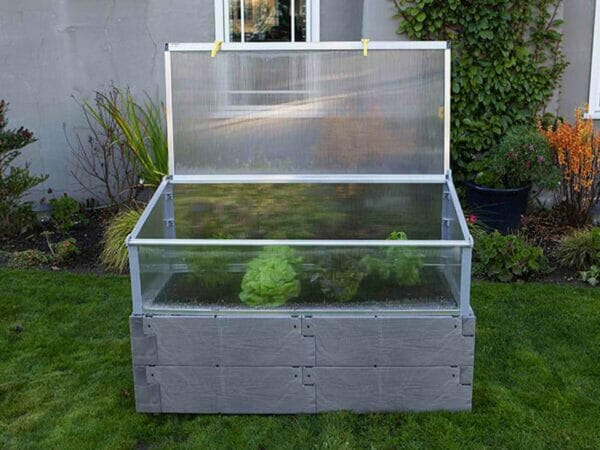 Open Gray Timber Raised Bed with Year Round Cold Frame and plants inside