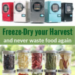 Freeze dryers with the text: Food Preservation at its finest - Freeze-Dry your Harvest and never waste food again