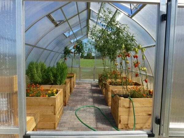 Hoklartherm Riga XL 9 Greenhouse 14x30 front view with open door and plants inside