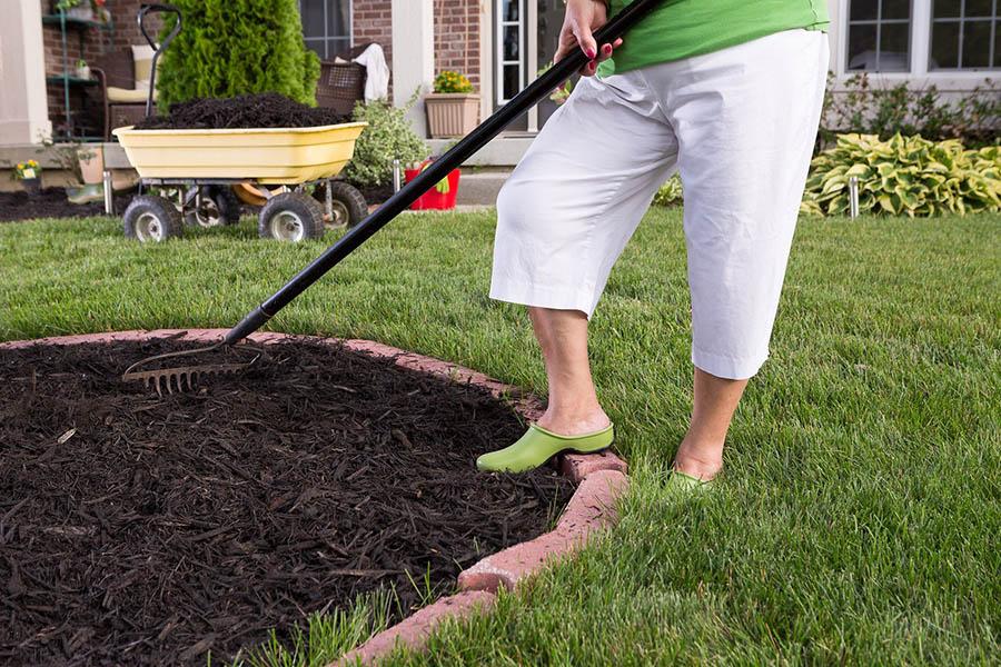 Senior working with compost soil in the garden