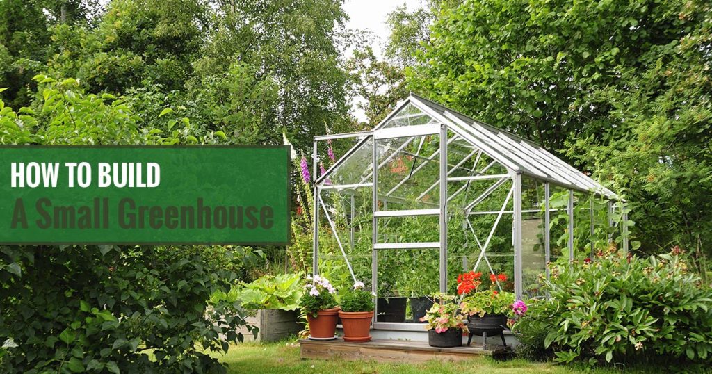 Greenhouse in a garden with the text: How to Build A Small Greenhouse
