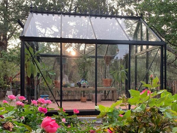 Side view of the Janssens Junior Victorian Glass Greenhouse J-Vic 23 in a garden