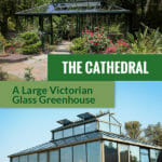 Janssens Cathedral Victorian Greenhouse with the text: The Cathedral - A Large Victorian Glass Greenhouse