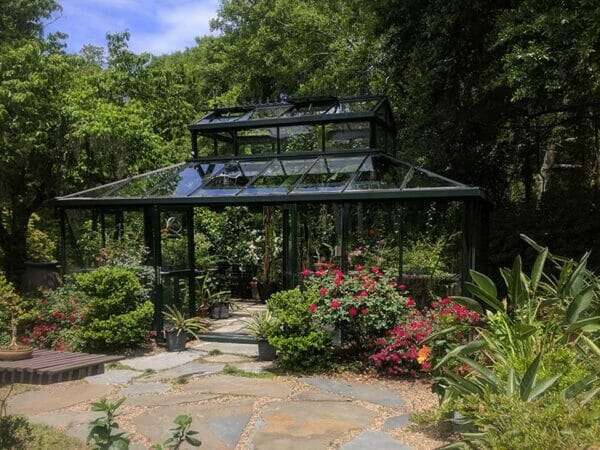 Black Janssens Cathedral Victorian Greenhouse 15ft x 20ft in a garden