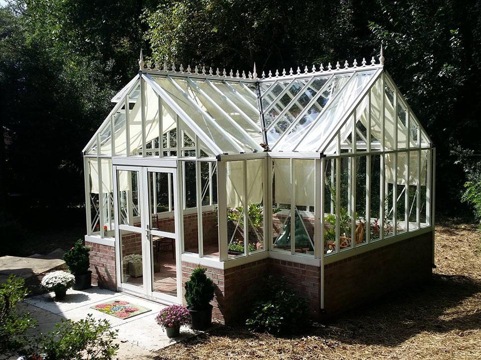 Royal Victorian Antique Orangerie on a stem wall
