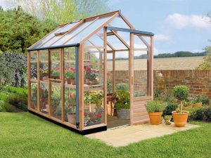 Juliana Classic Greenhouse 6ft x 8ft - front and side view - closed roof vents and window - open door - with plants inside - in a garden