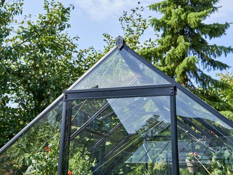 Juliana Qube Greenhouse 7ft X 11ft | Greenhouse Emporium