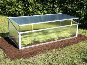 Slightly opened Year-Round Cold Frame with plants inside