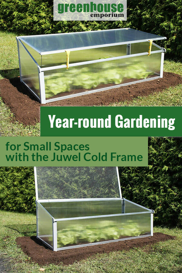 Juwel YearRound Cold Frame 4x2 Greenhouse Emporium