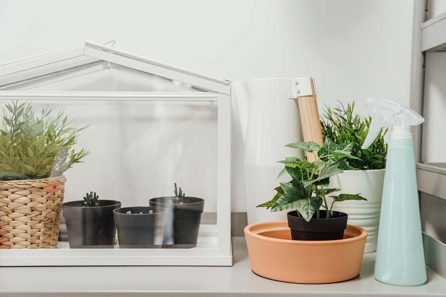 Mini Greenhouse Ideas