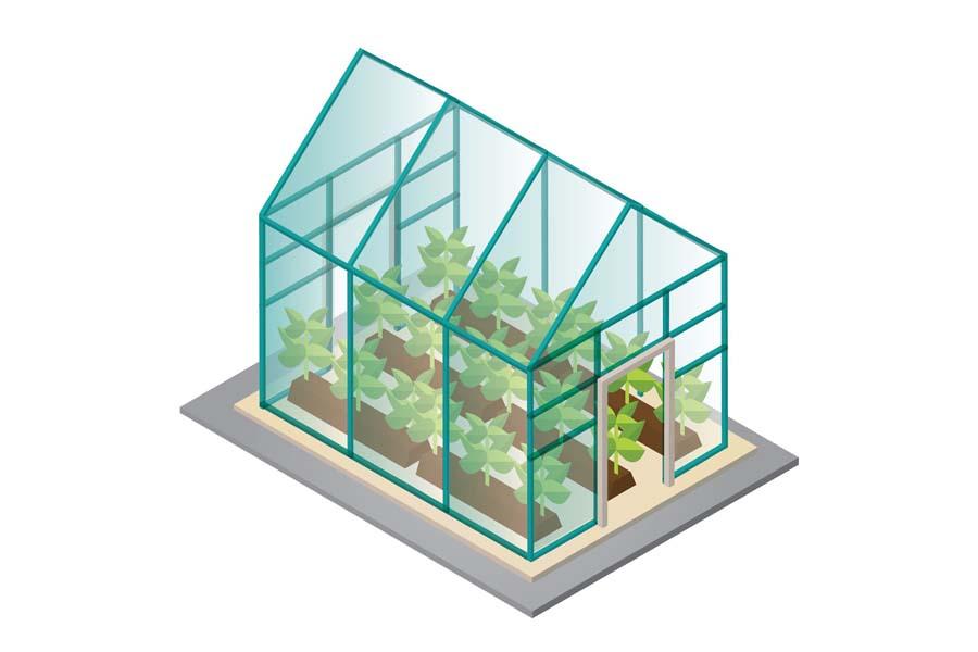 Graphic of a small greenhouse as a mini greenhouse idea for your home
