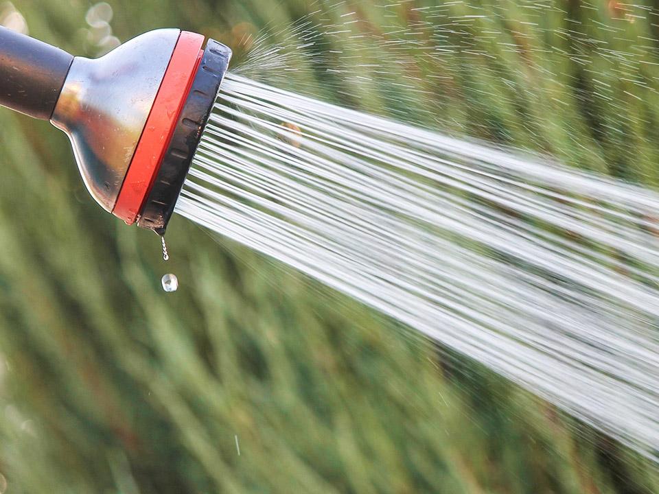 Water jet for greenhouse cleaning