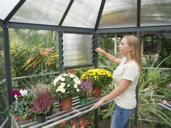 Palram 7ft x 8ft Oasis Hex Greenhouse - HG6000 - interior view - a woman gardening inside the greenhouse