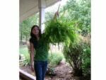 A woman on the left side holding Plant Caddie Hook with Plants