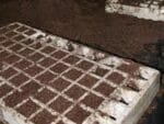 RSI Hydroponic Floating Seeding Tray - with soil