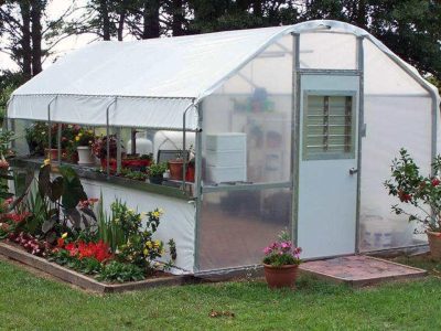 Riverstone Industries Carver Educational Greenhouse