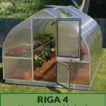 Hoklartherm Riga 4 Greenhouse exterior view with open doors showing plants inside with the Text Riga 4 Heavy-duty, mid-sized Greenhouse with more headroom