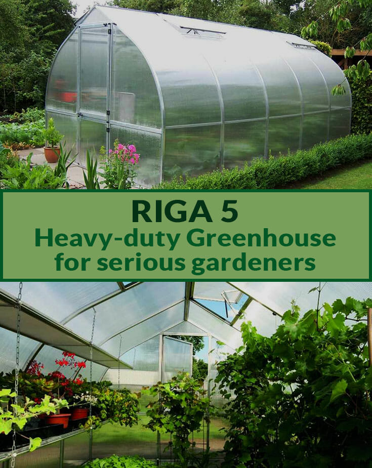 Riga 5 exterior view with closed door and interior view of Riga 5 with open roof vent and upper part of the door with the text saying Riga 5 Heavy-duty Greenhouse for serious gardeners